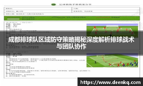 成都排球队区域防守策略揭秘深度解析排球战术与团队协作